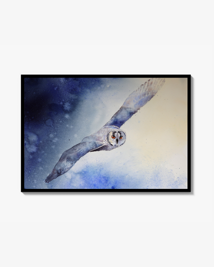Owl in blue morning light. Poster