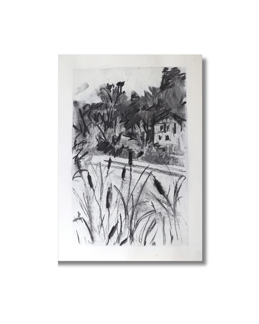 Comfort of cattail Original