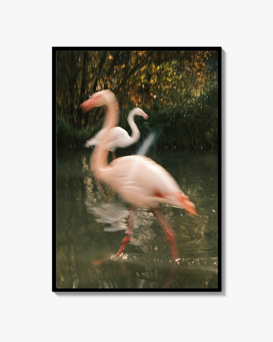 Passing by Print