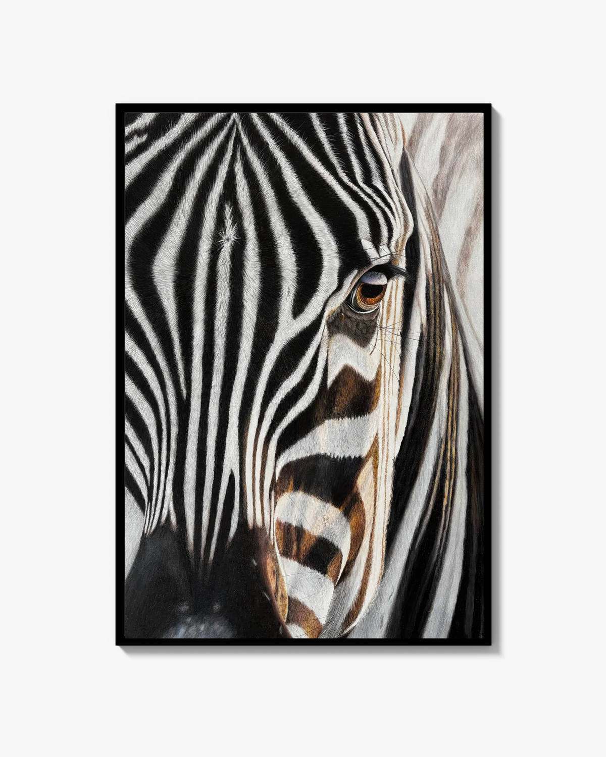 Zebra - Signerad och numrerad Fine Art Print (från originalmålning)