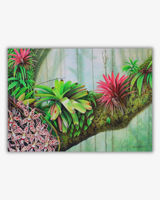 Akvarell - Tropical Canopy