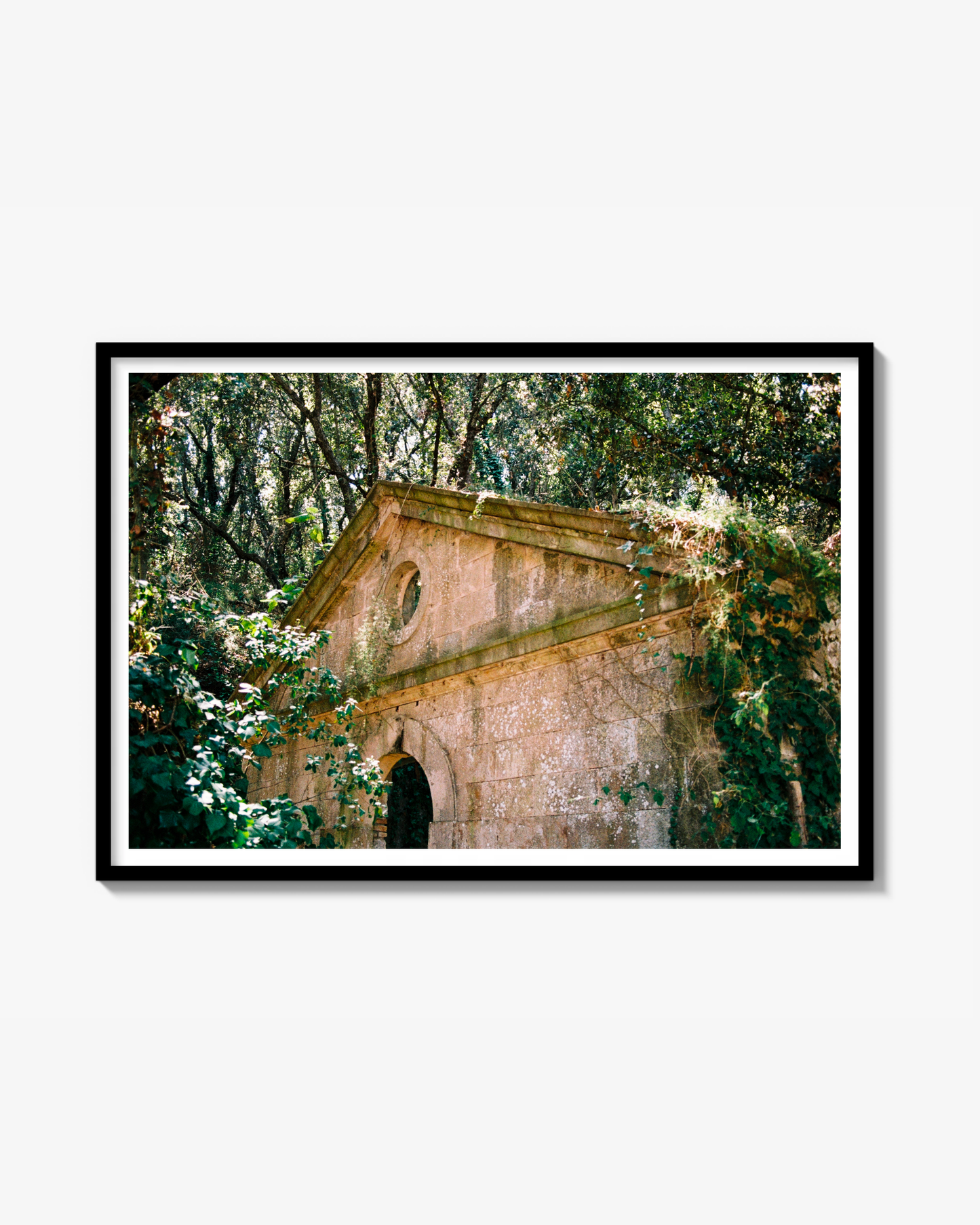 Lost Print