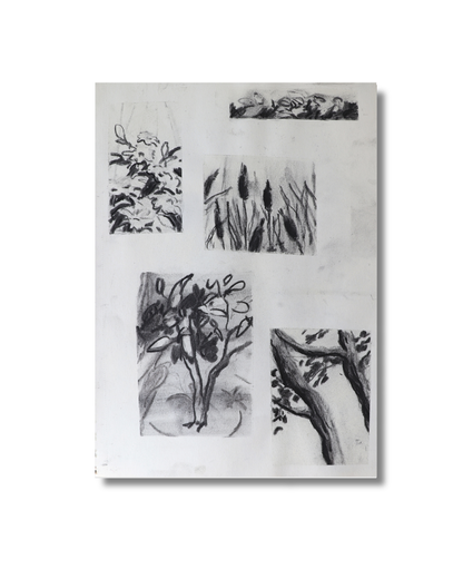Pretty cuts No. 1 Original