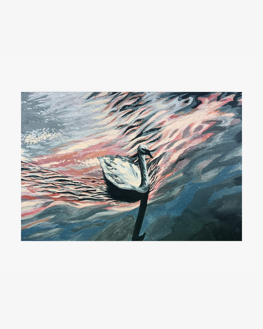 swan in the lake Original