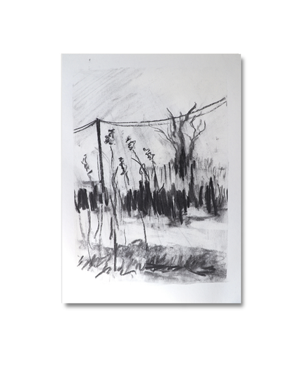 Wild geese sleep here Original