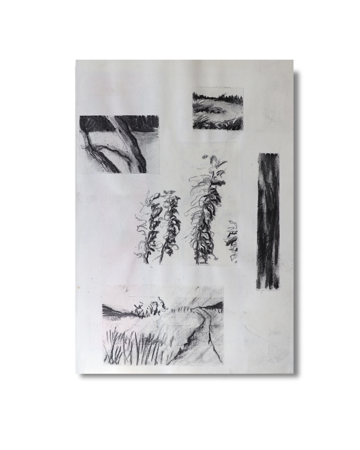 Pretty cuts No.2 Original