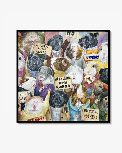 PRINT Guinea pig protest Liten