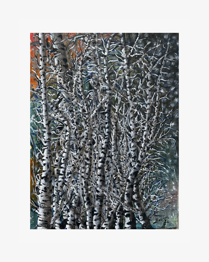 Wild birches - olja på duk