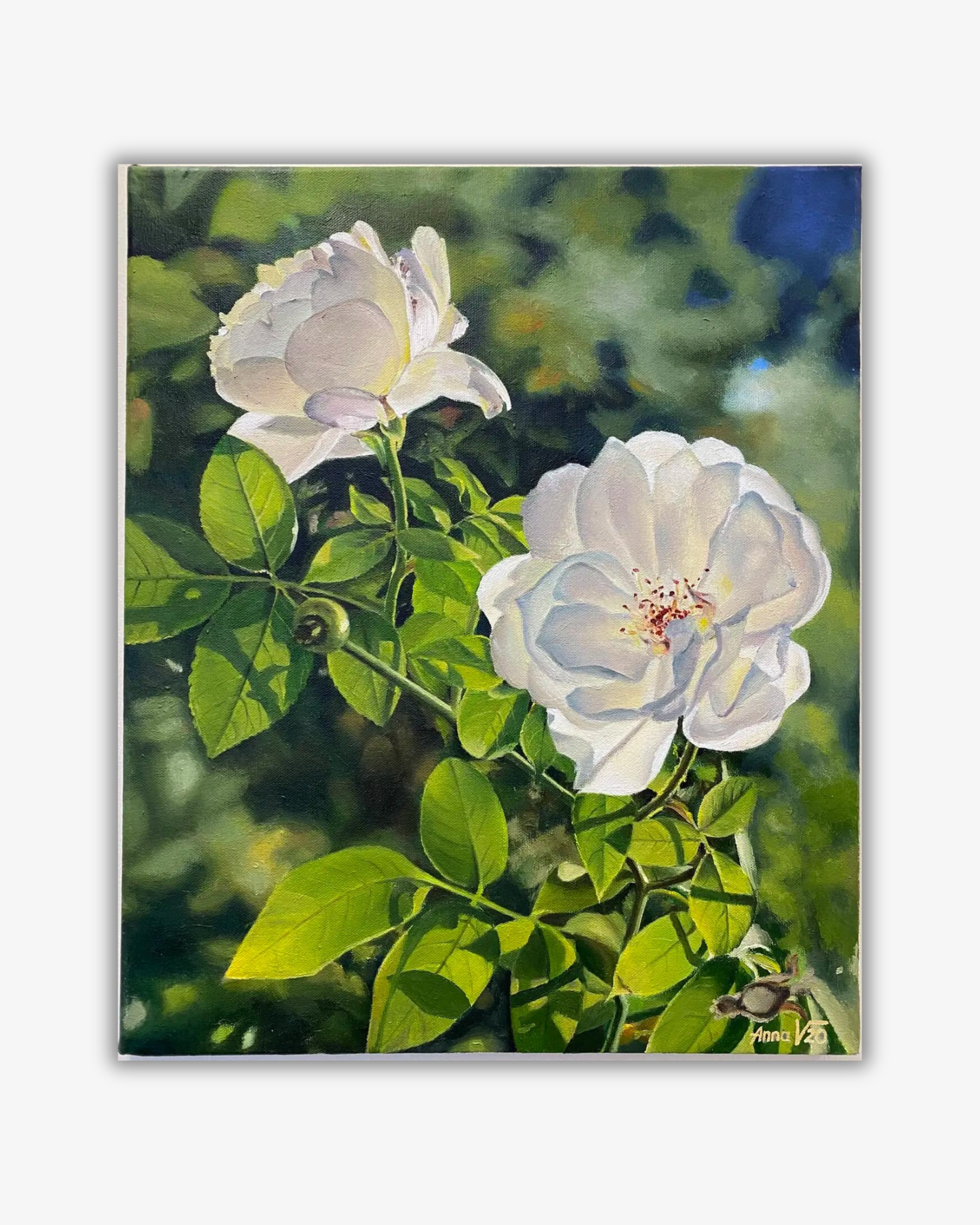 White roses Original målning