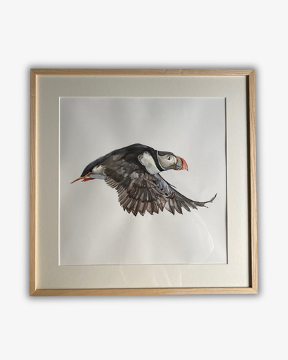 Akvarellmålning Puffin Original