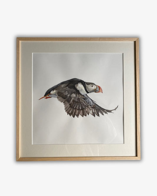Akvarellmålning Puffin Original