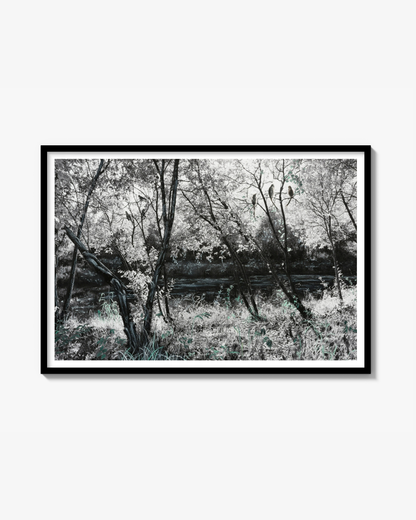 Faith in Birds (Landscape), Konstkvalitet Poster