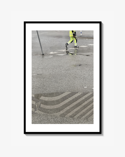 Reflections Print