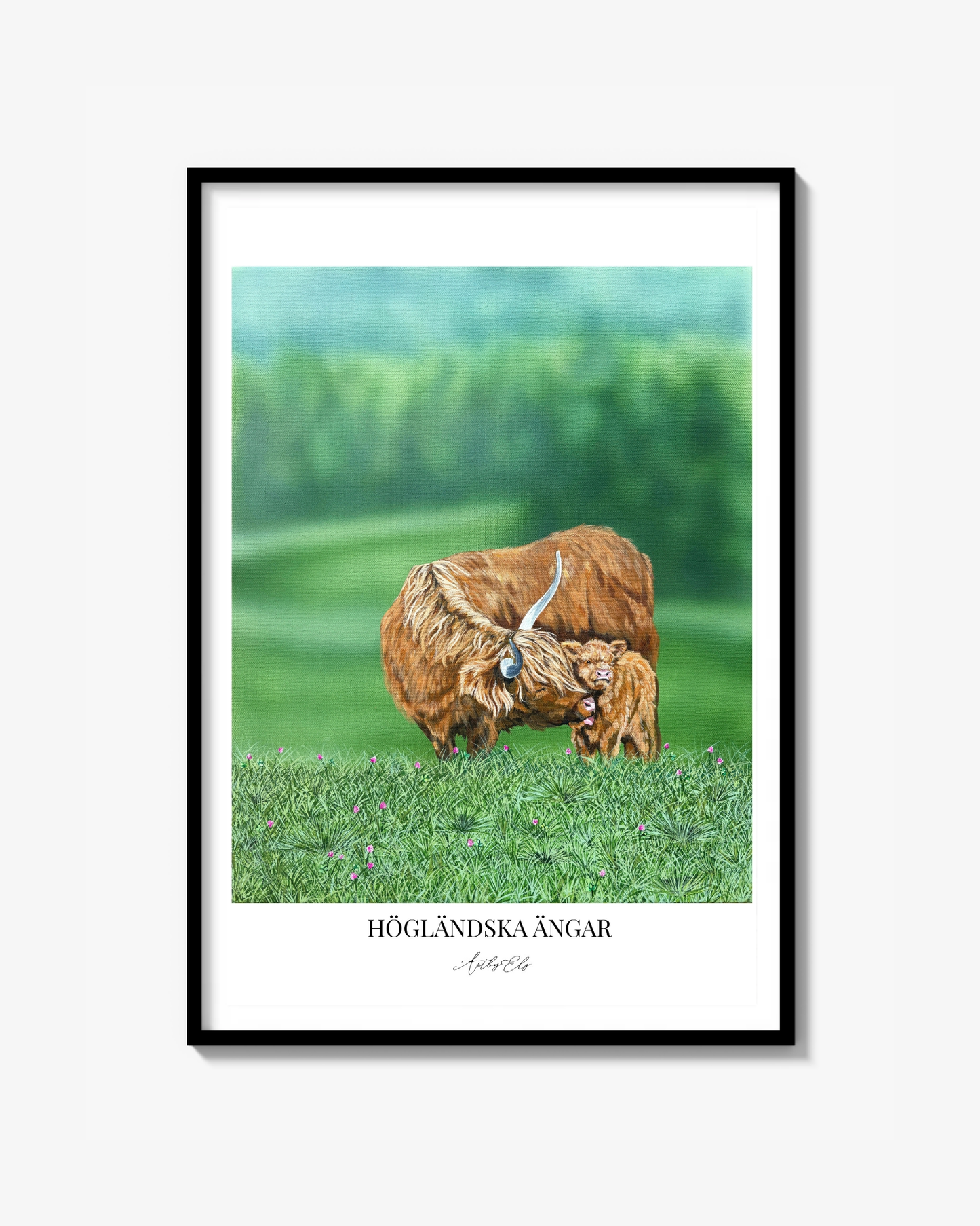 Högländska ängar - Poster