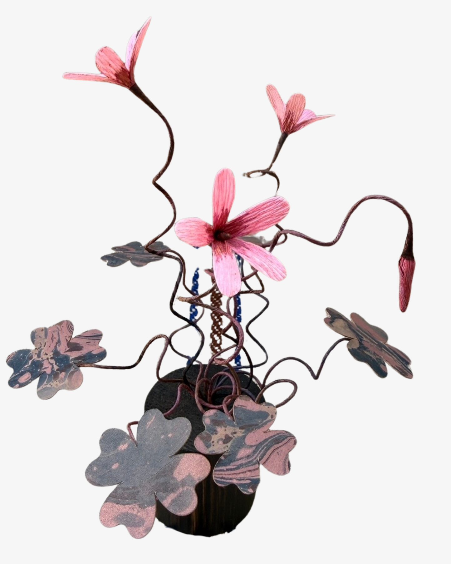 Oxalis plant Skulptur