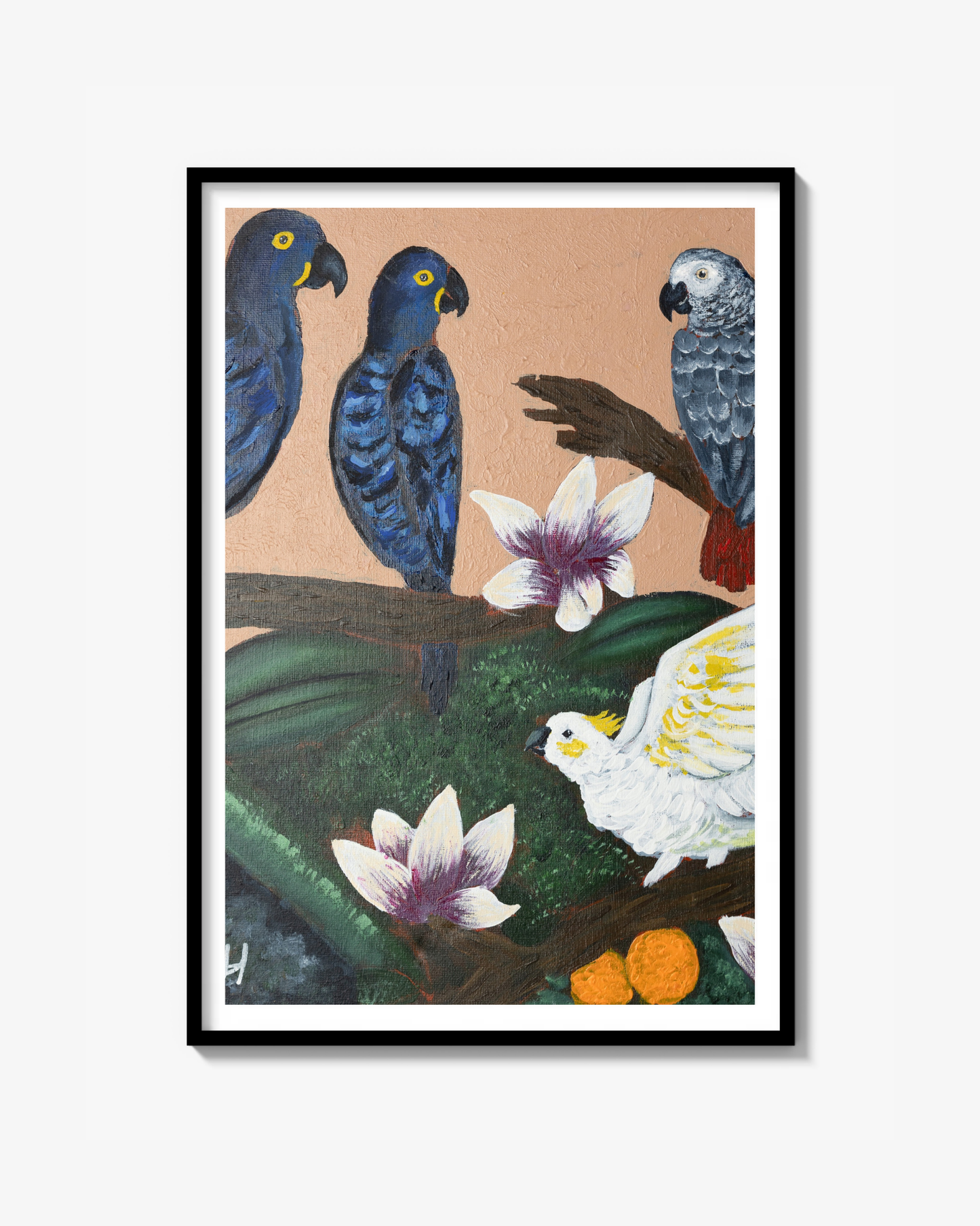 Sazo - Poster