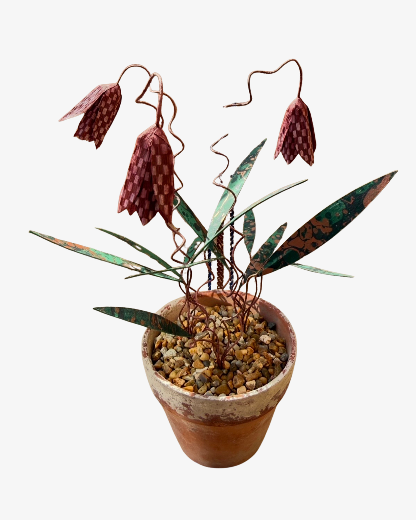 Fritillaria Krukväxt Skulptur