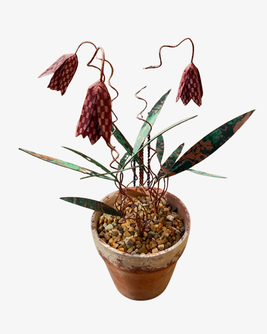 Fritillaria Krukväxt Skulptur