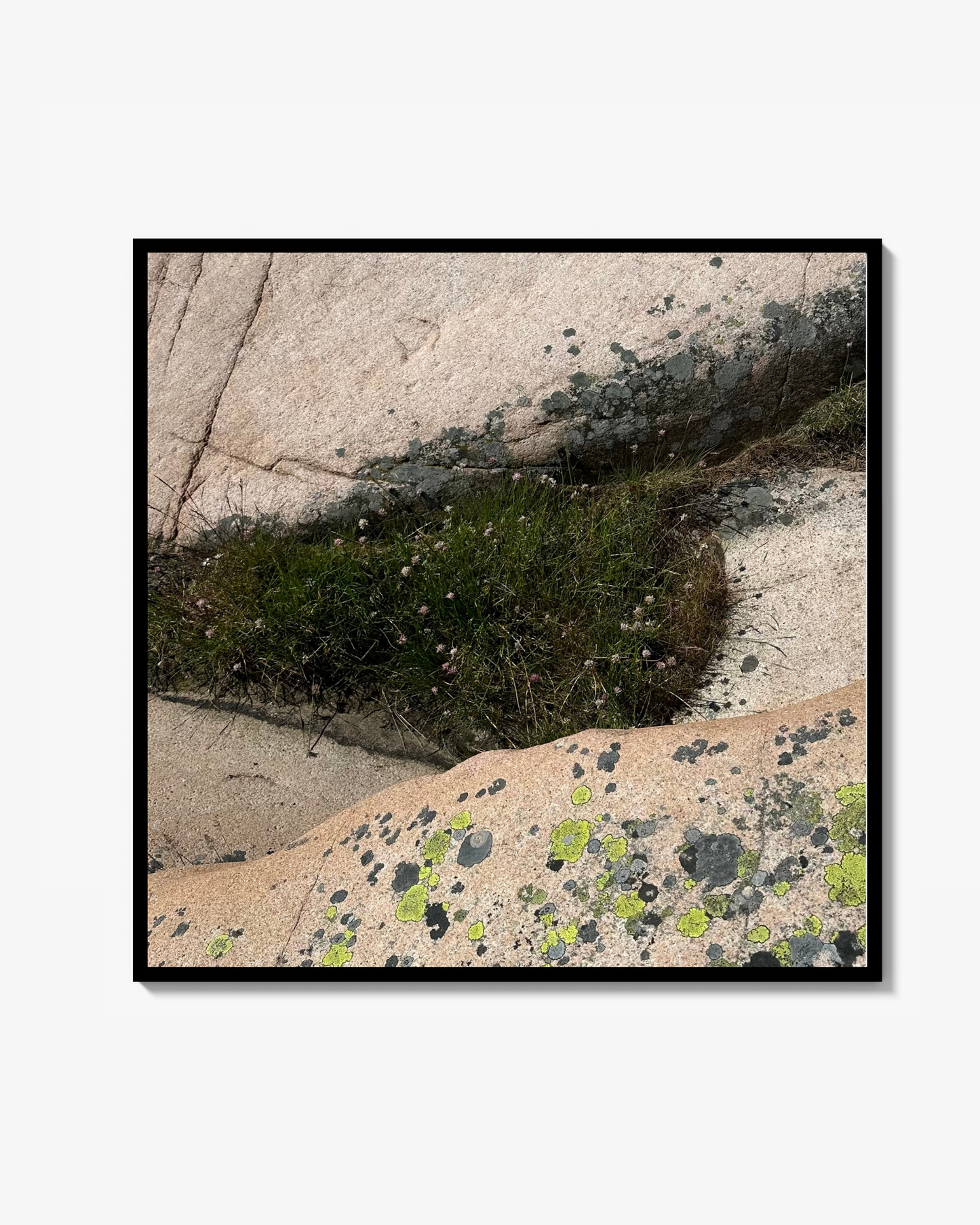 Liten Konstfotografi Fläckigt berg Poster
