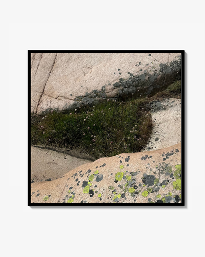 Liten Konstfotografi Fläckigt berg Poster