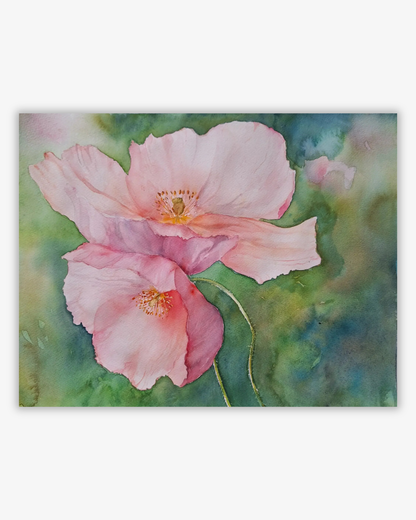 Akvarell Original, pink poppy or Poppy I