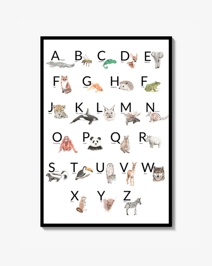 Djuralfabet Poster Engelska