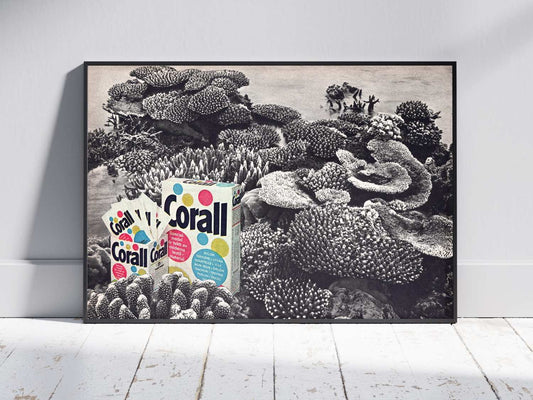 Coral in Coral - poster