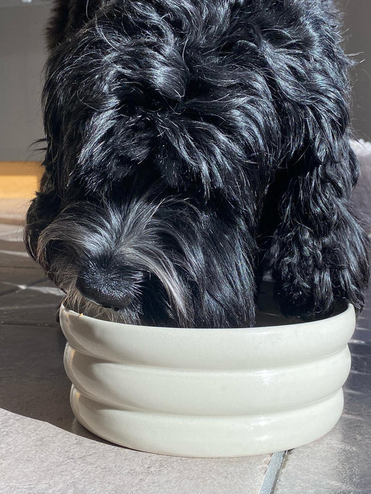 Hundskål - Beige (Anpassningsbar)