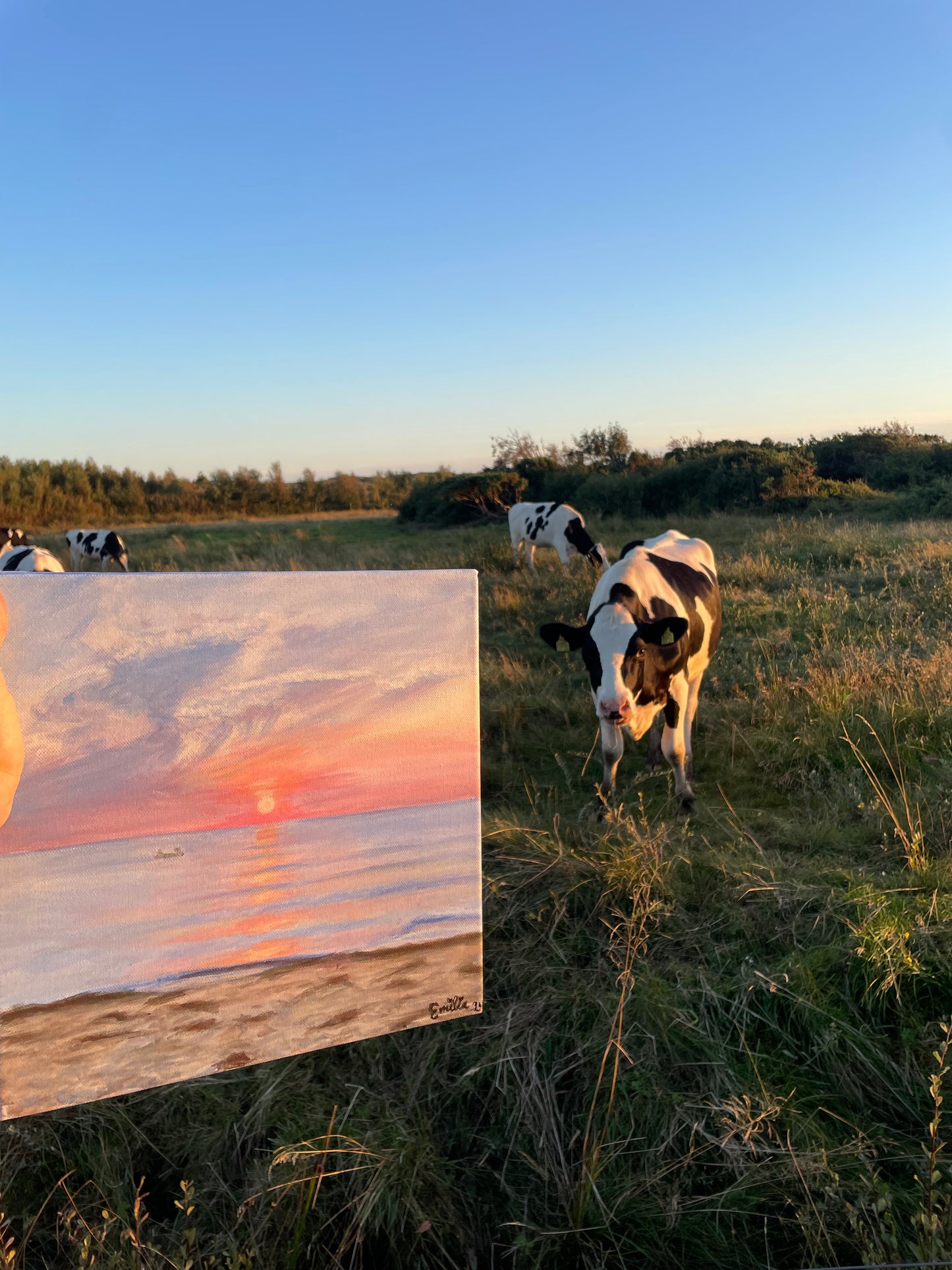 Solnedgång vid ØSTERBYSTRAND (Liten) - Original