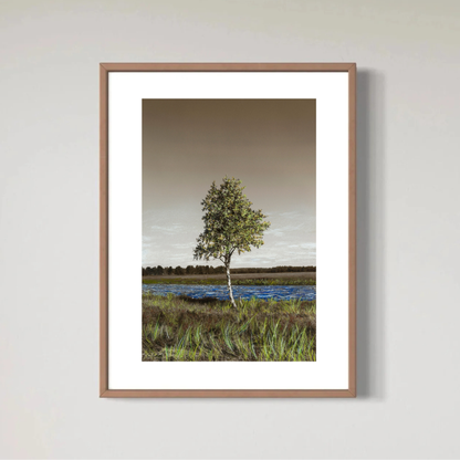 Birchy (Landscape), Art Quality Poster