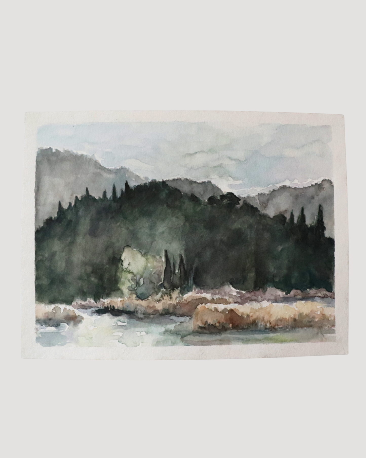 Still sleeping Original