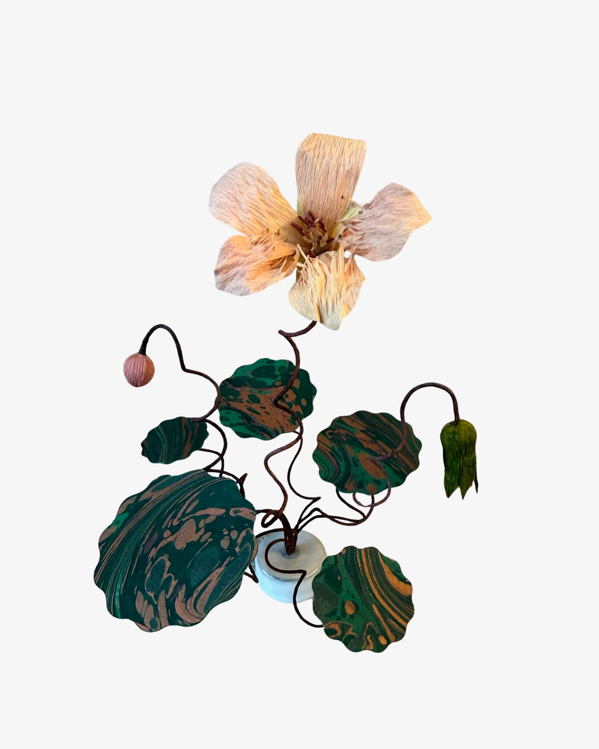 Nasturtium plant - Skulptur