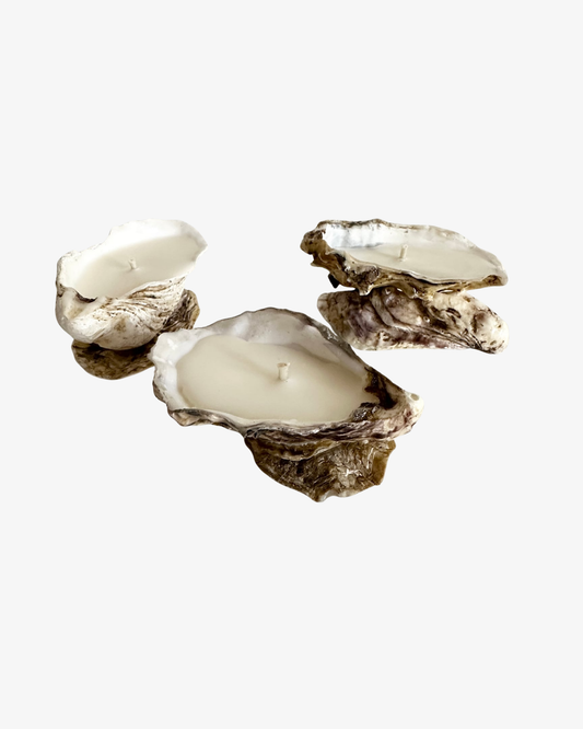 Oyster Shell Ljus / Pearl Tide Set om 3