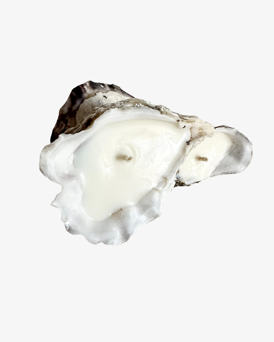 Oyster Shell/ Water & Flame - Ljus