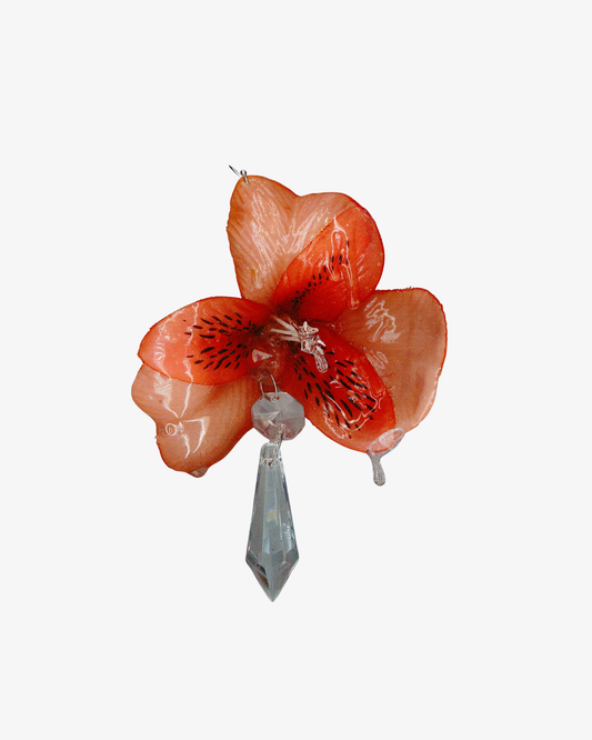 SOAKED ALSTROEMERIA Örhängen ORANGE