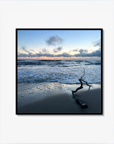 "Twig on the beach" - Liten Konstfotografi