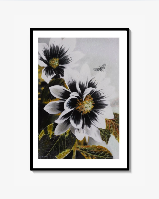 Dahlia Face (Florals), Konstkvalitet Poster