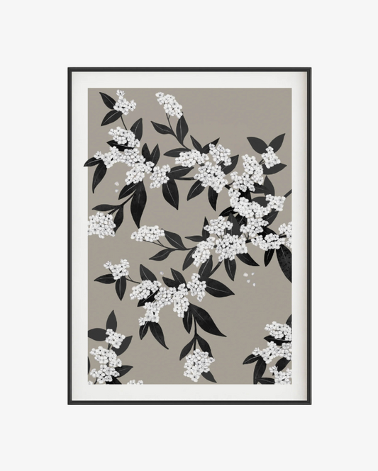 Fleurs Poster