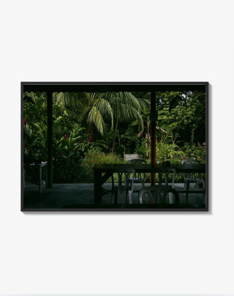 "Silence of the Jungle" Poster
