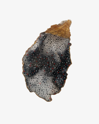 Handmålad Ostronskal – Midnight Dot