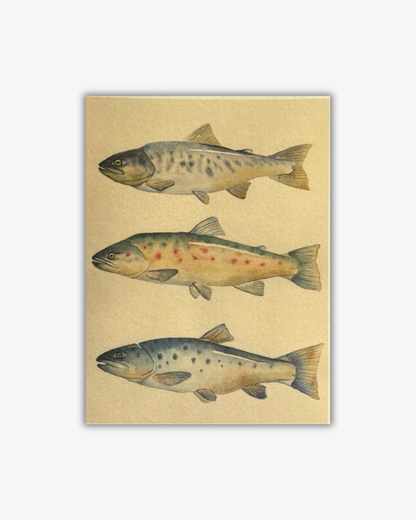 "Tre fjellørret" - Print