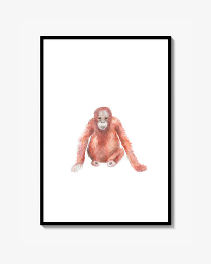 Orangutang akvarell Poster