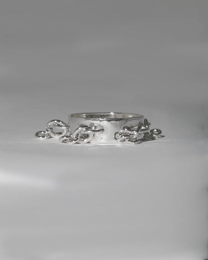 Image at position 1