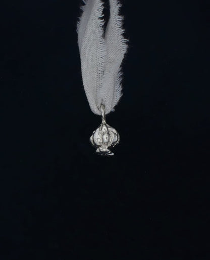Image at position 1