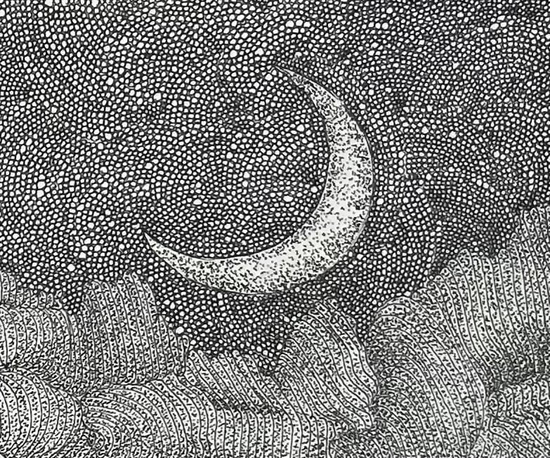 Image at position 2