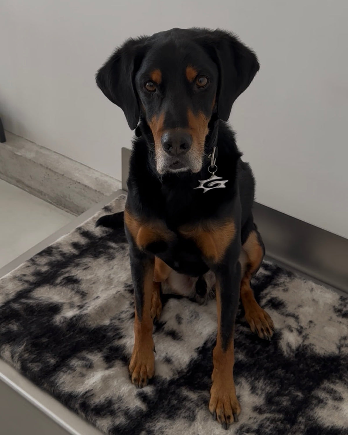 Image at position 3