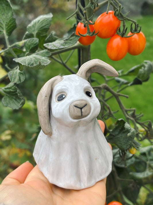 Image at position 1