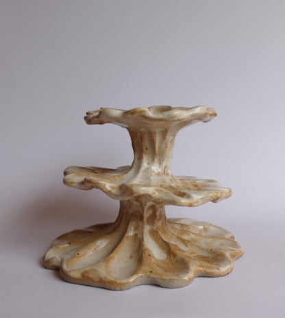 Image at position 1