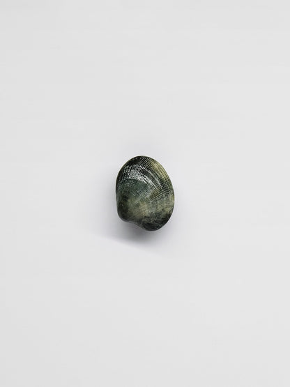 Image at position 1