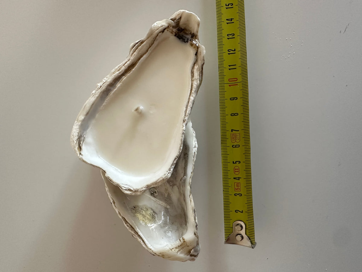 Image at position 1